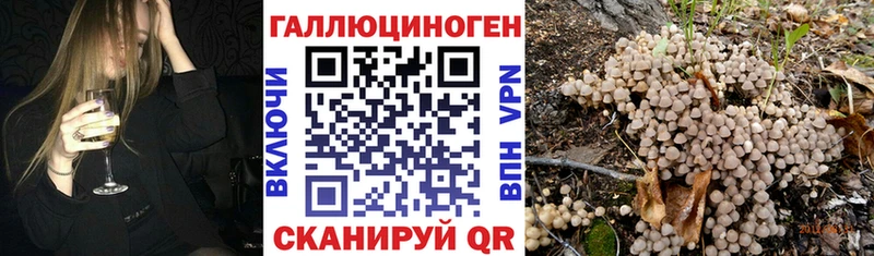 МЕГА рабочий сайт  Гагарин  Галлюциногенные грибы Cubensis 