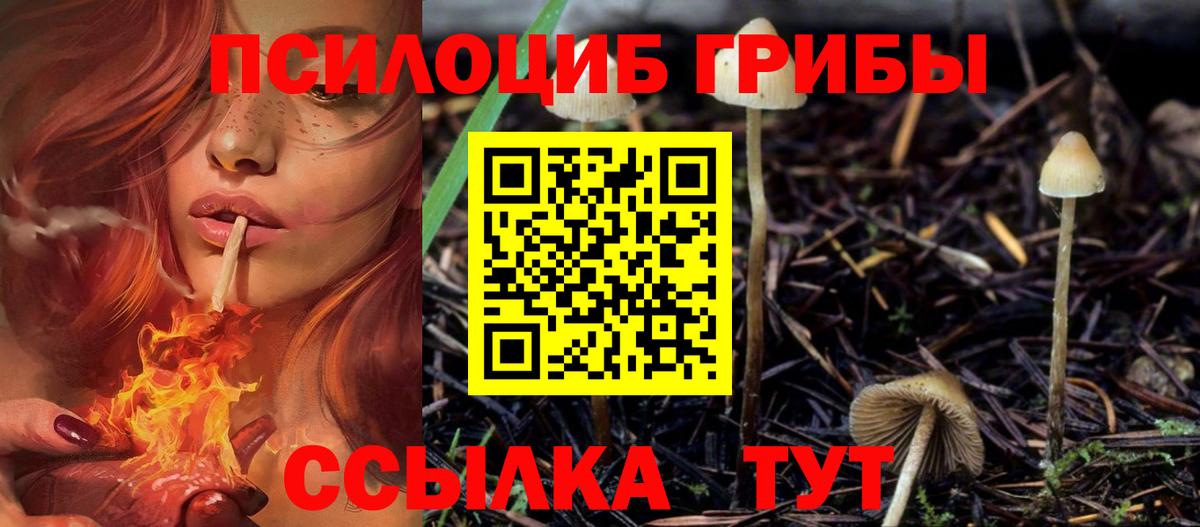 Гагарин  закладки  Вход с VPN  Галлюциногенные грибы MAGIC MUSHROOMS 
