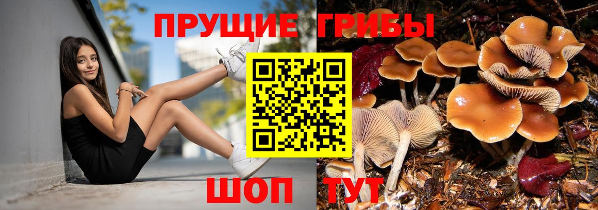 Псилоцибиновые грибы мухоморы Гагарин